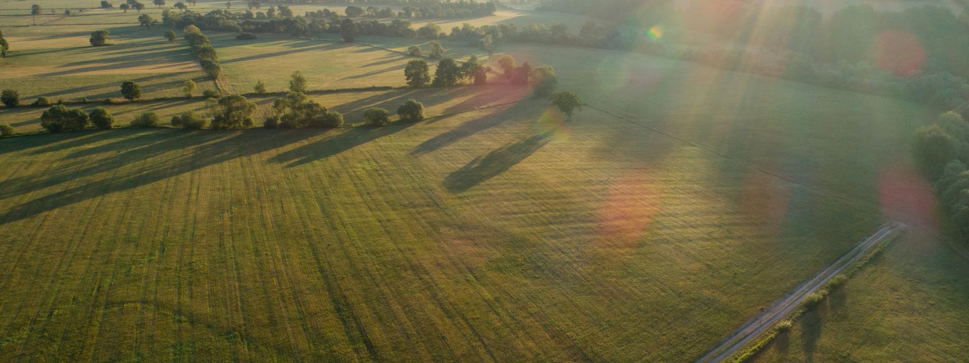Grüne Landschaft
