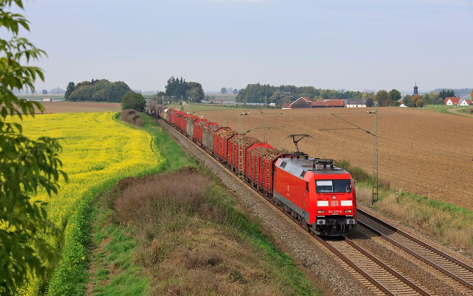 Quelle: DB Cargo Logistics / Christina Olma Güterzug mit Rohholz fährt neben Blumenwiese
