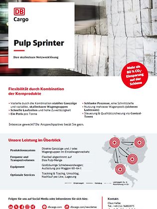Netzwerk_Flyer-Pulp-Sprinter