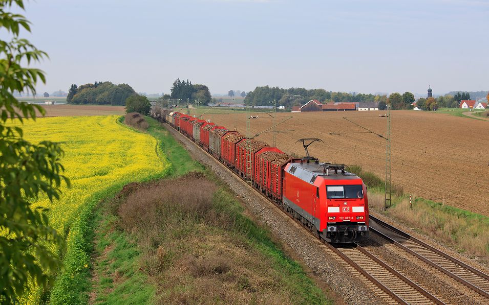 Freight train carrying raw timber passes a rapeseed field