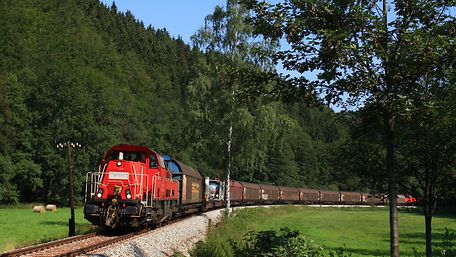 Train travelling through a green landscape with trees