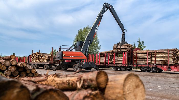 Excavator loading logs onto a stationary train